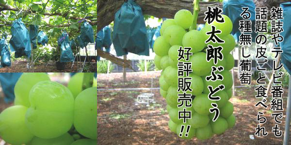 桃農家、葡萄農家 四季の屋